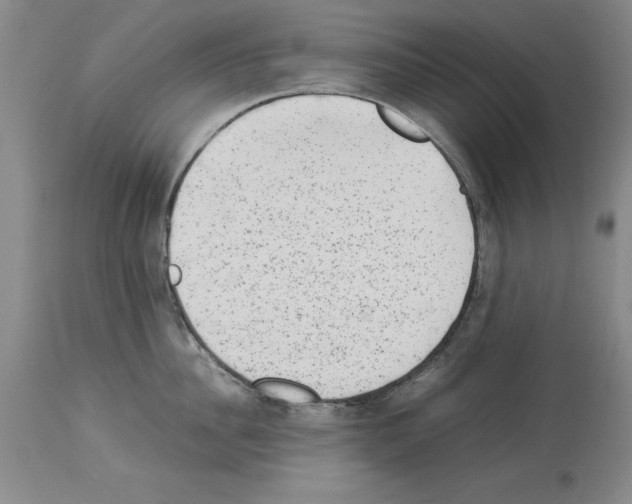 X0000113950956200911061301