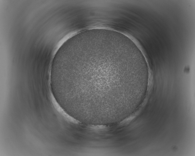 X0000113950957200911061301