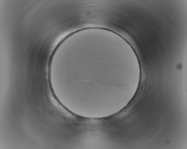 X0000113950958200911061301