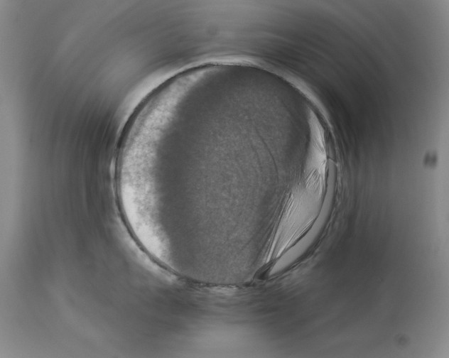 X0000113950959200911061301
