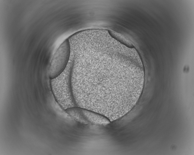 X0000113950960200911061301