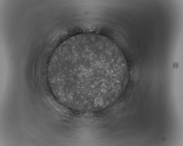 X0000113950961200911061300