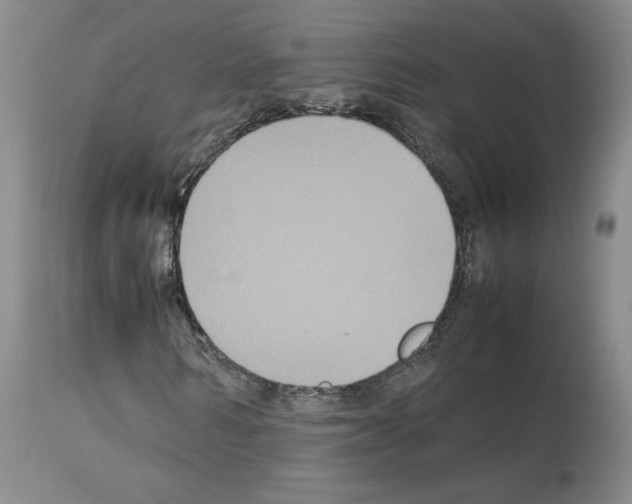 X0000113950962200911061300
