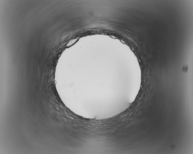 X0000113950965200911061300
