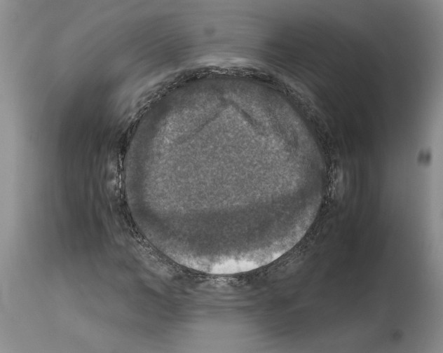 X0000113950966200911061300