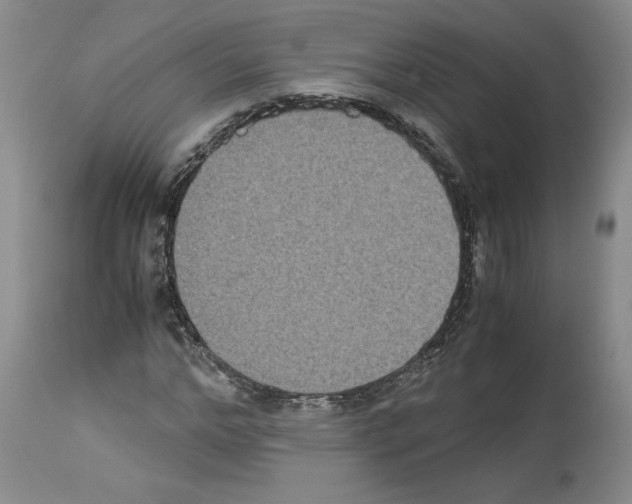 X0000113950968200911061300