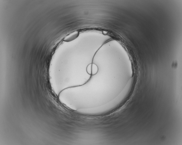 X0000113950969200911061300