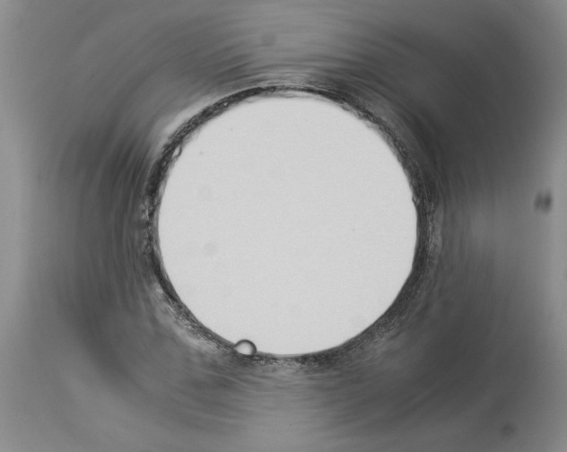 X0000113950971200911061300