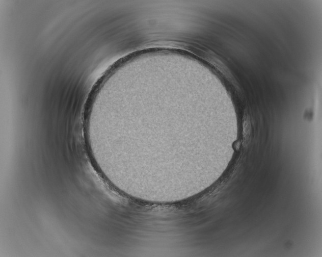 X0000113950972200911061300