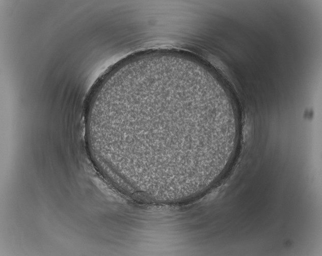 X0000113950973200911061300