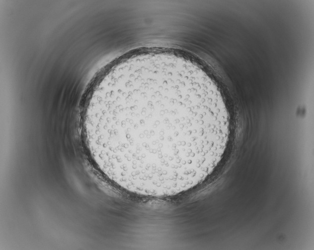 X0000113950974200911061300