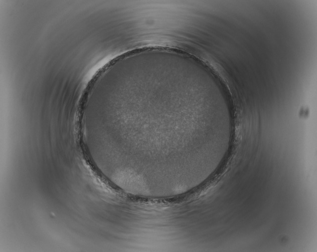 X0000113950975200911061300