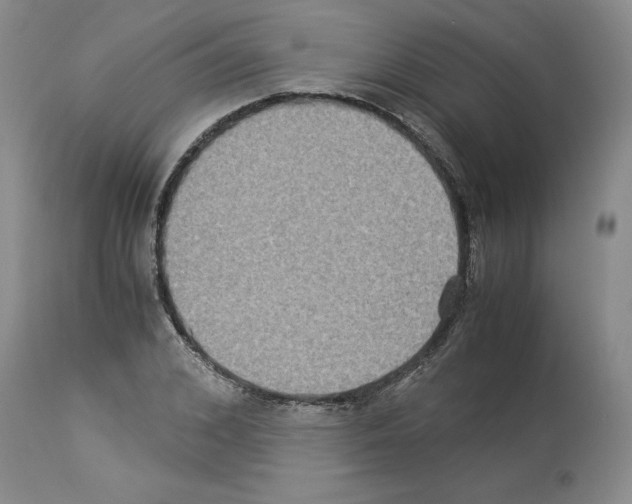 X0000113950976200911061300