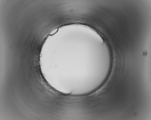 X0000113950977200911061300