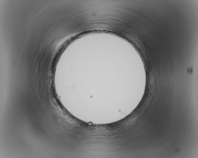 X0000113950979200911061300