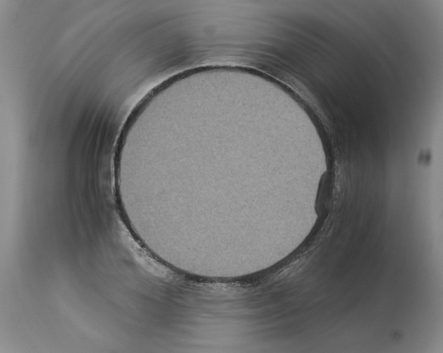 X0000113950980200911061300