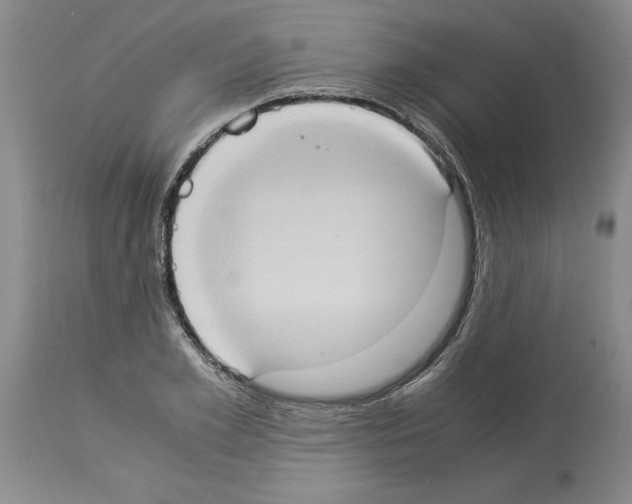 X0000113950981200911061300