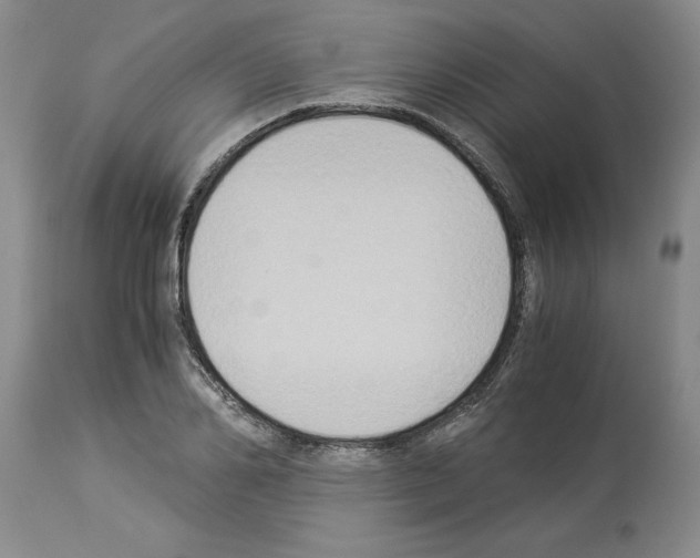 X0000113950982200911061300