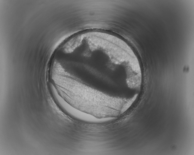 X0000113950983200911061300