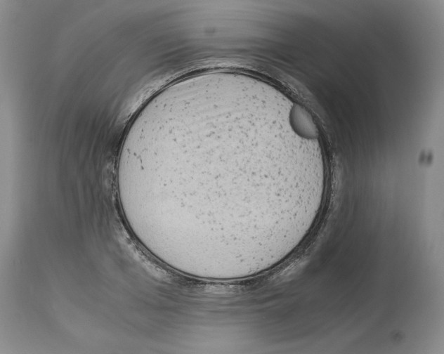 X0000113950985200911061300