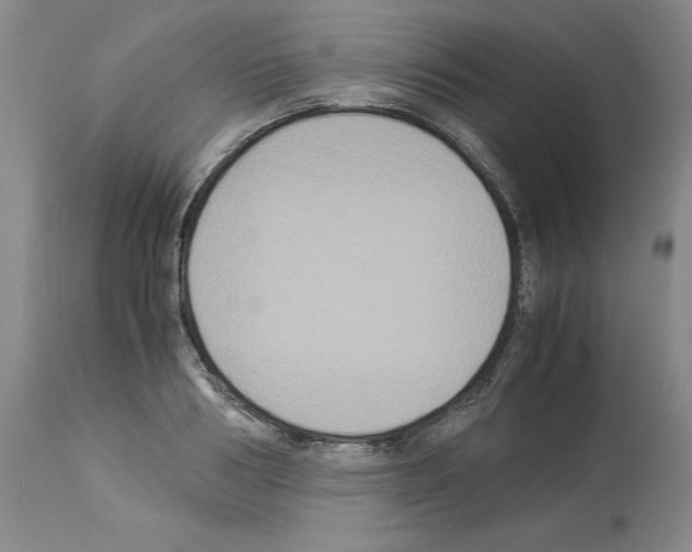X0000113950986200911061300
