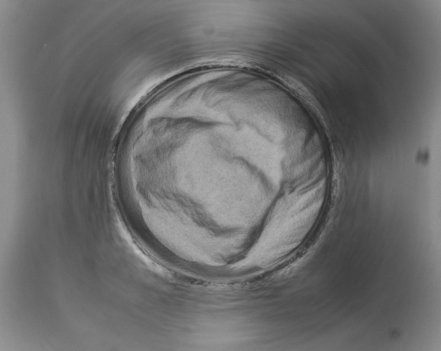 X0000113950989200911061259