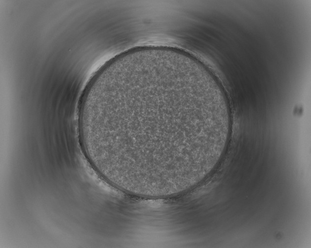 X0000113950990200911061259