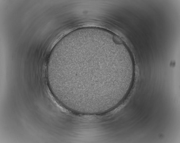 X0000113950993200911061259