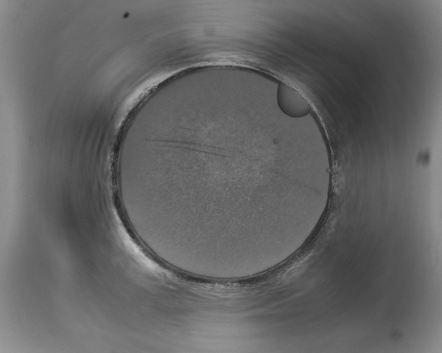 X0000113950995200911061259