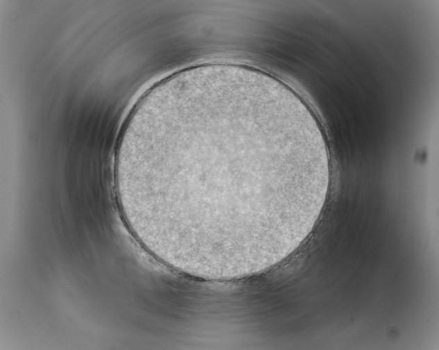 X0000113950996200911061259