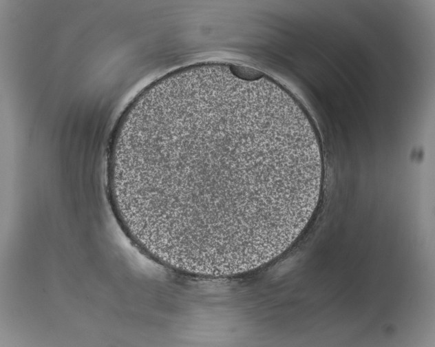 X0000113950999200911061259