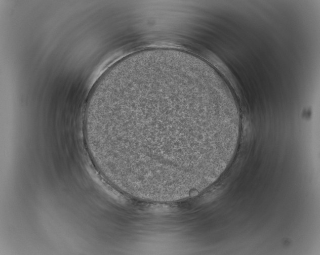 X0000113951002200911061259