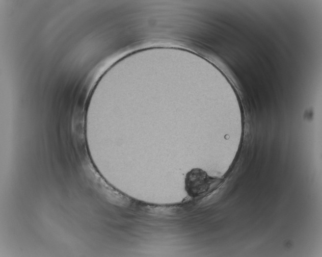 X0000113951004200911061259