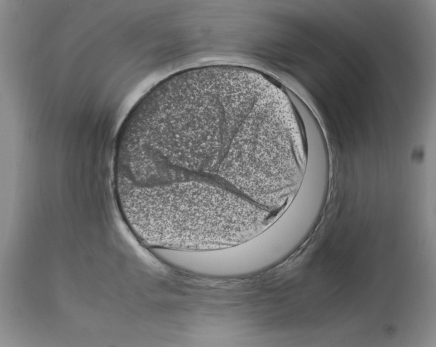 X0000113951005200911061259