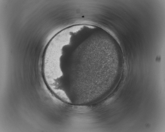 X0000113951007200911061259
