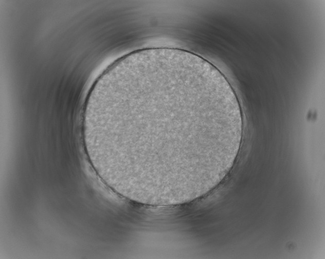 X0000113951008200911061259