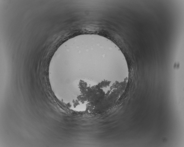 X0000113951009200911061259
