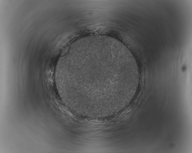 X0000113951010200911061259