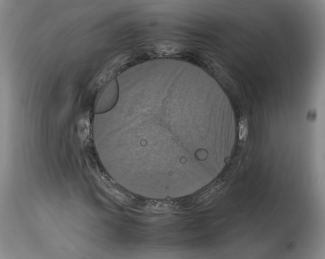X0000113951011200911061259
