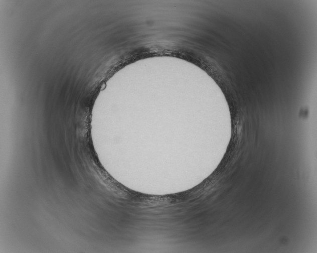 X0000113951012200911061259