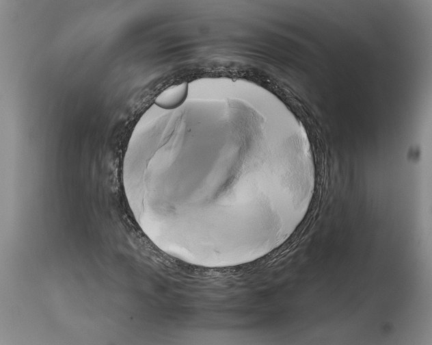 X0000113951013200911061259