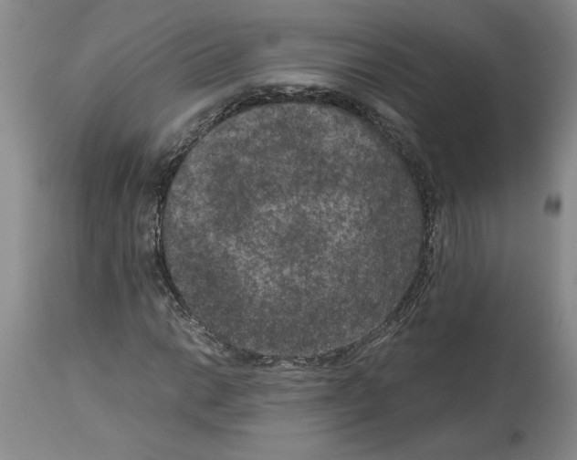 X0000113951014200911061259