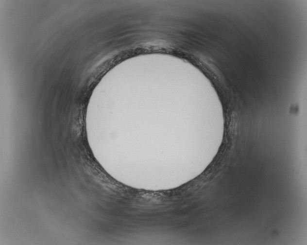 X0000113951015200911061259