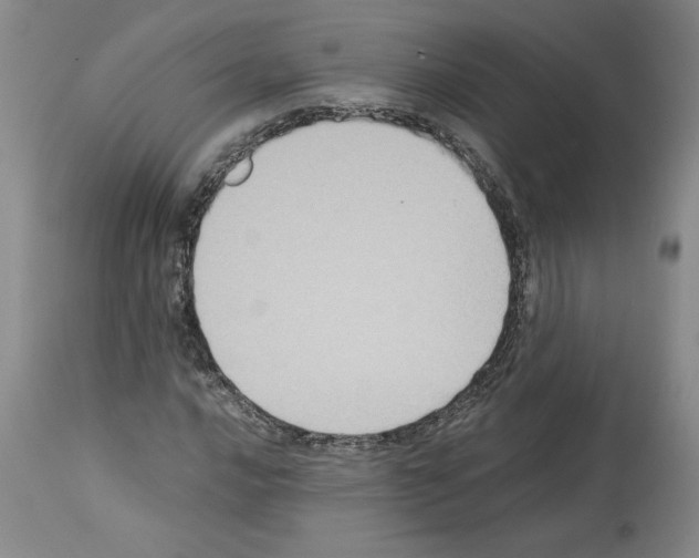 X0000113951016200911061259