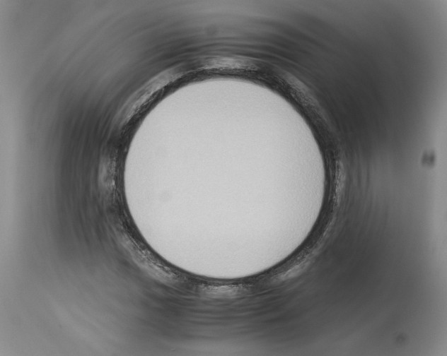 X0000113951017200911061259