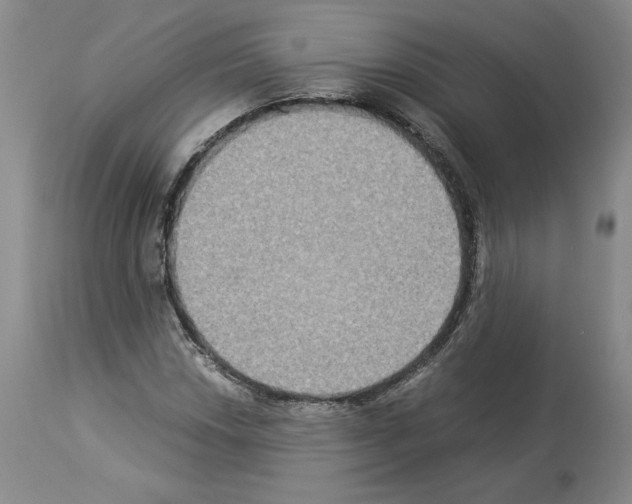 X0000113951018200911061259