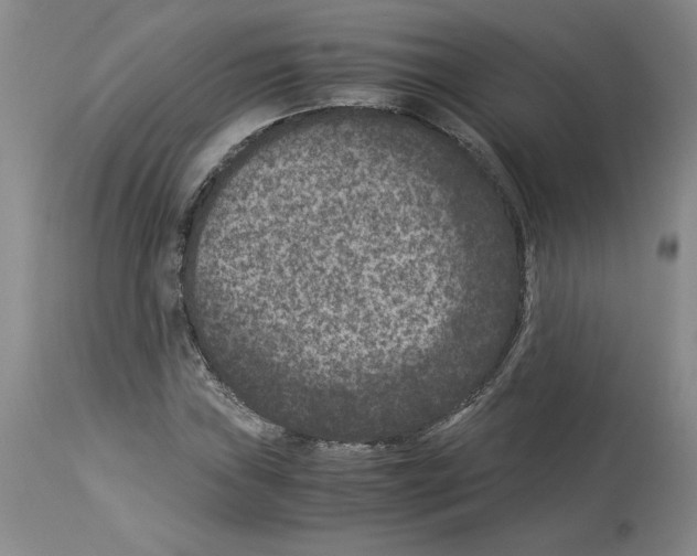X0000113951019200911061259