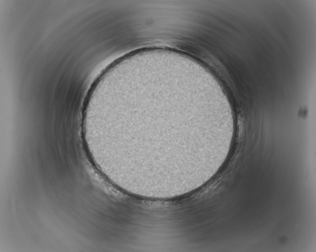 X0000113951020200911061259