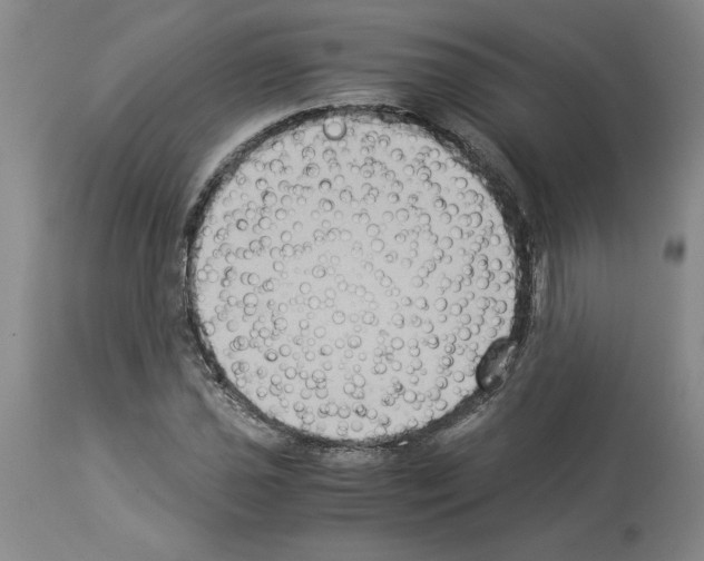 X0000113951021200911061259