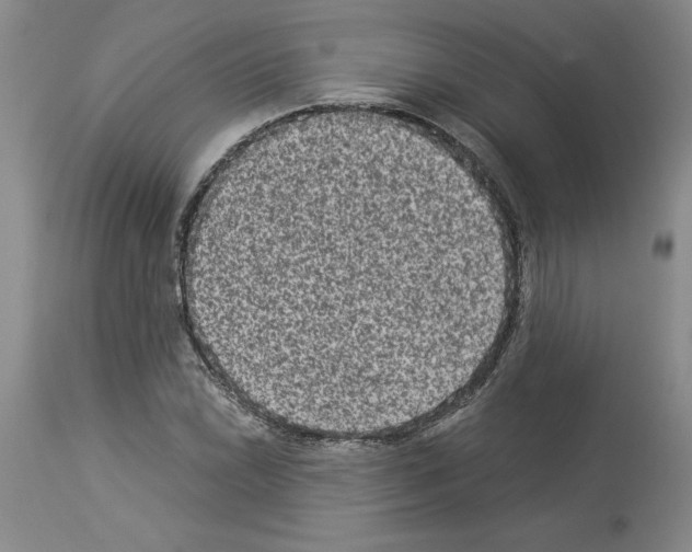 X0000113951022200911061259
